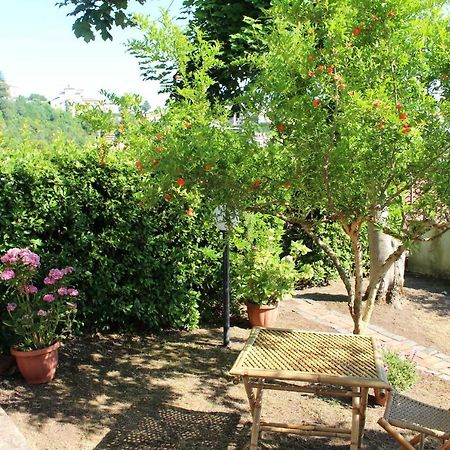 Le Coste Bed and Breakfast Veroli Buitenkant foto