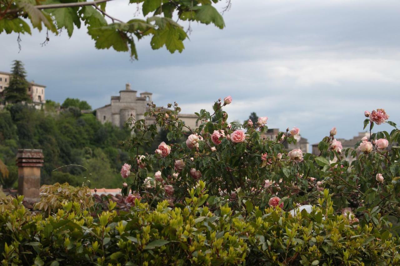 Le Coste Bed and Breakfast Veroli Buitenkant foto